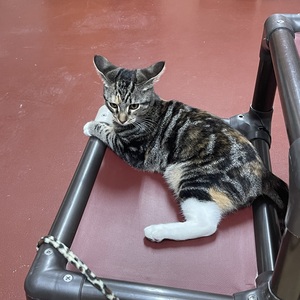 Fundraising Page: Christy Waits